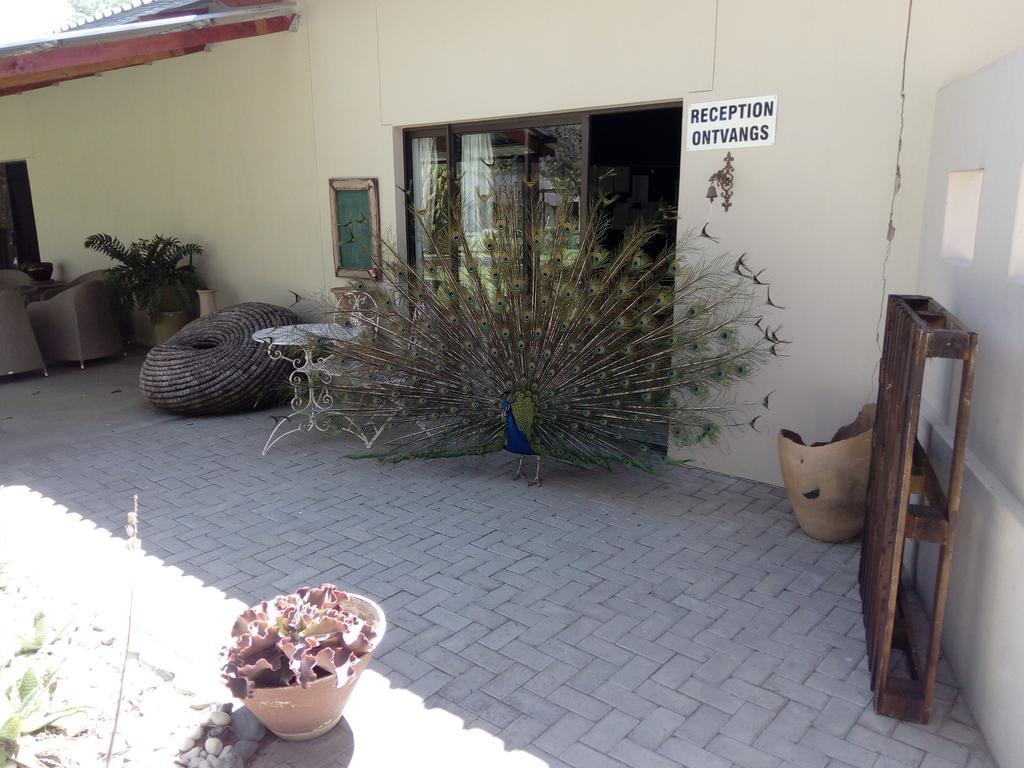 فندق Xain Quaz Camp Gobabis المظهر الخارجي الصورة